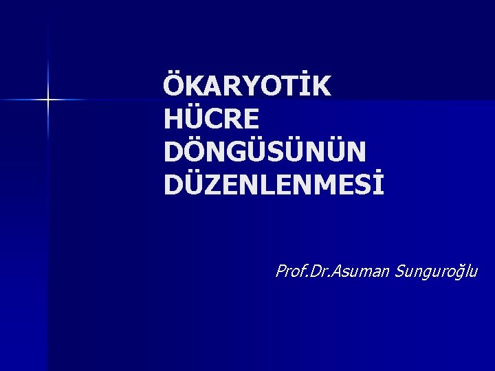 ÖKARYOTİK HÜCRE DÖNGÜSÜNÜN DÜZENLENMESİ Prof. Dr. Asuman Sunguroğlu 