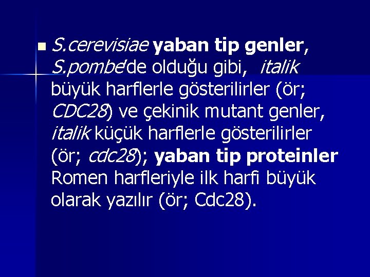 n S. cerevisiae yaban tip genler, S. pombe’de olduğu gibi, italik büyük harflerle gösterilirler