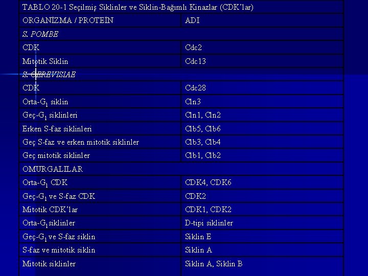 TABLO 20 -1 Seçilmiş Siklinler ve Siklin-Bağımlı Kinazlar (CDK’lar) ORGANİZMA / PROTEİN ADI S.