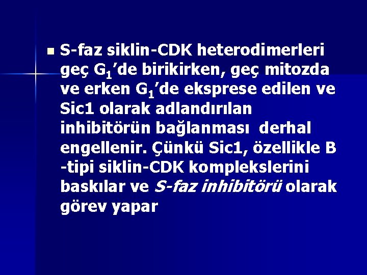 n S-faz siklin-CDK heterodimerleri geç G 1’de birikirken, geç mitozda ve erken G 1’de