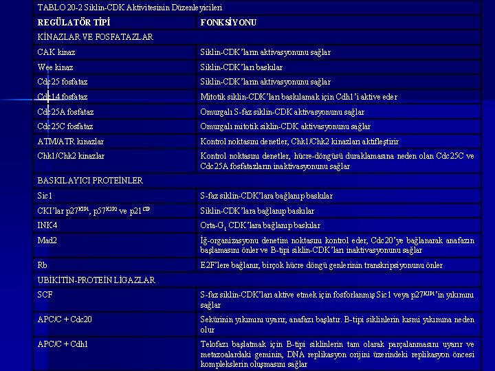 TABLO 20 -2 Siklin-CDK Aktivitesinin Düzenleyicileri REGÜLATÖR TİPİ FONKSİYONU KİNAZLAR VE FOSFATAZLAR CAK kinaz