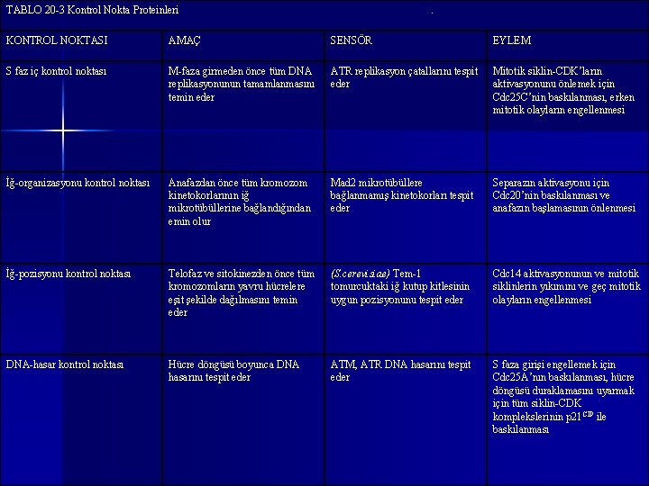 TABLO 20 -3 Kontrol Nokta Proteinleri . KONTROL NOKTASI AMAÇ SENSÖR EYLEM S faz