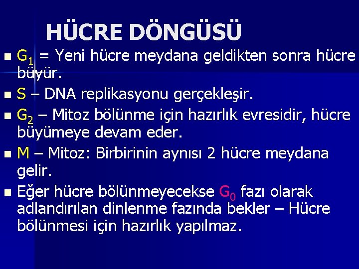 HÜCRE DÖNGÜSÜ G 1 = Yeni hücre meydana geldikten sonra hücre büyür. n S