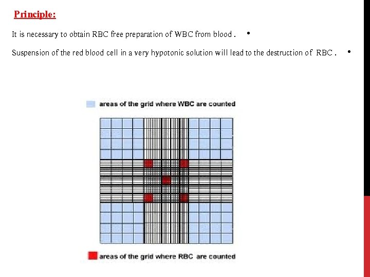Complete Blood Count CBC Objectives 1 To estimate