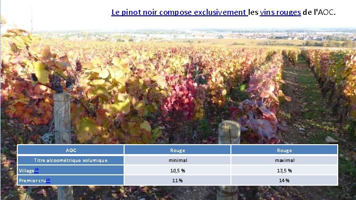 Le pinot noir compose exclusivement les vins rouges de l'AOC. AOC Rouge Titre alcoométrique