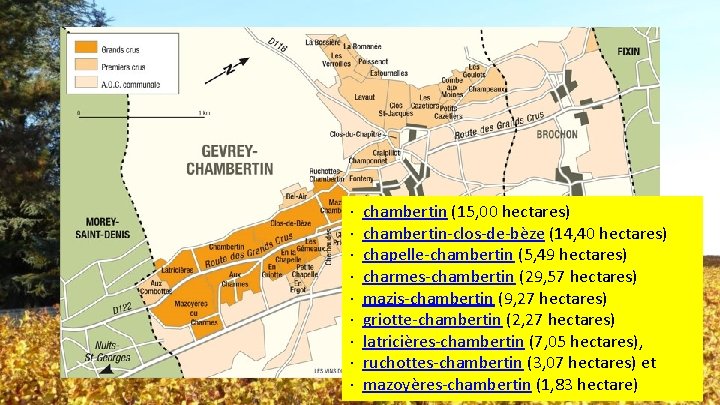 · chambertin (15, 00 hectares) · chambertin-clos-de-bèze (14, 40 hectares) · chapelle-chambertin (5, 49