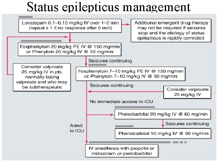 Status epilepticus management Status epilepticus management
