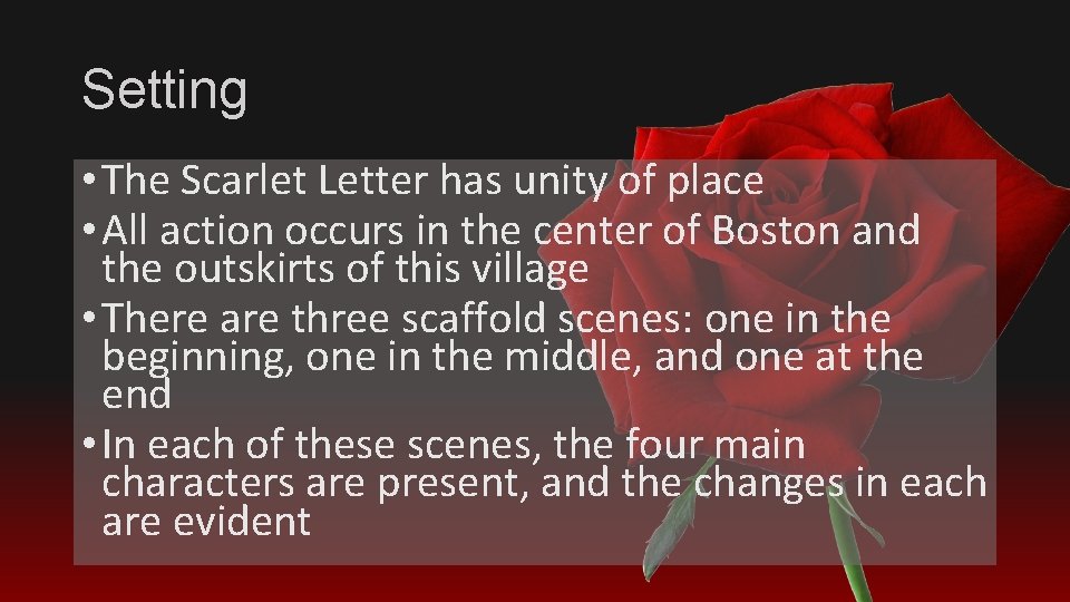 Setting • The Scarlet Letter has unity of place • All action occurs in