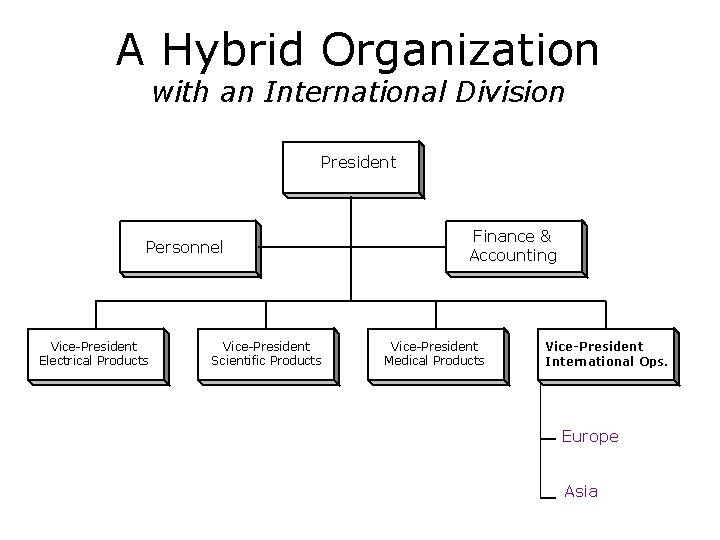 A Hybrid Organization with an International Division President Personnel Vice-President Electrical Products Vice-President Scientific