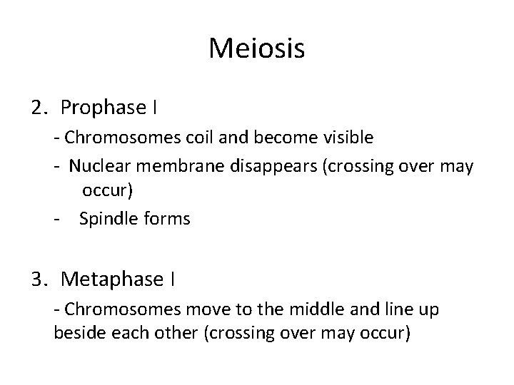 Meiosis 2. Prophase I - Chromosomes coil and become visible - Nuclear membrane disappears