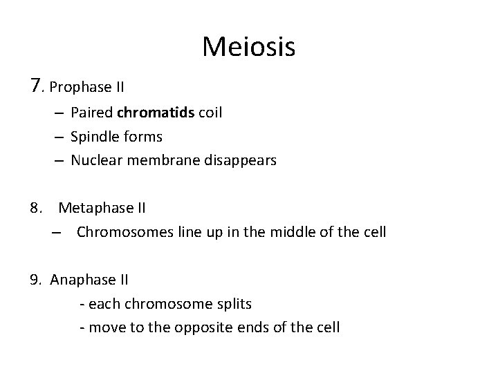 Meiosis 7. Prophase II – Paired chromatids coil – Spindle forms – Nuclear membrane