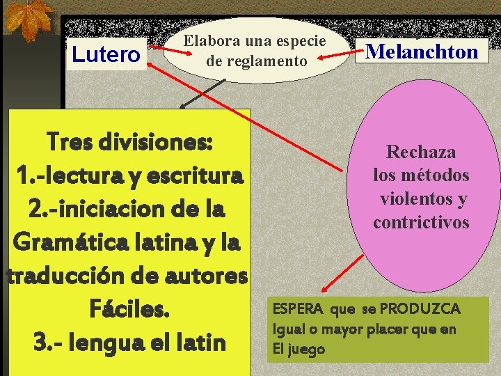 Lutero Elabora una especie de reglamento Tres divisiones: 1. -lectura y escritura 2. -iniciacion