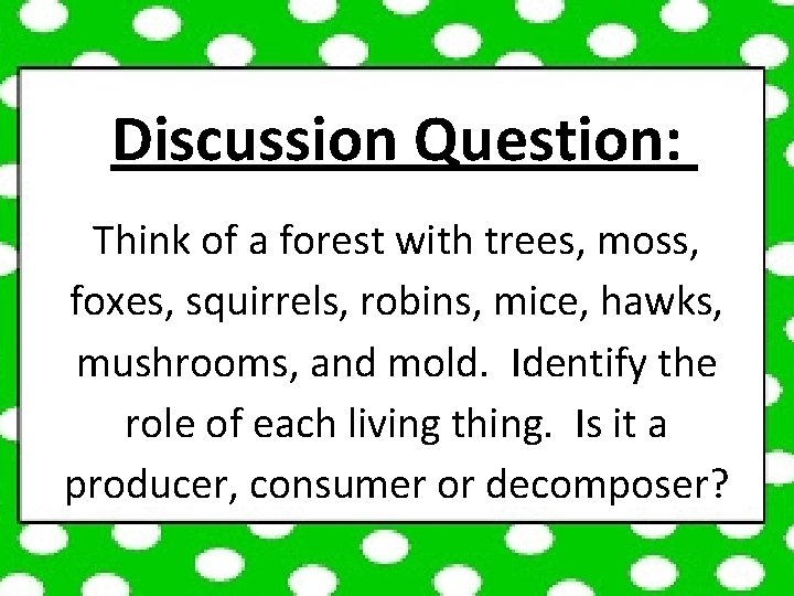 Producers Consumers Decomposers By Cammies Corner Producers Consumers