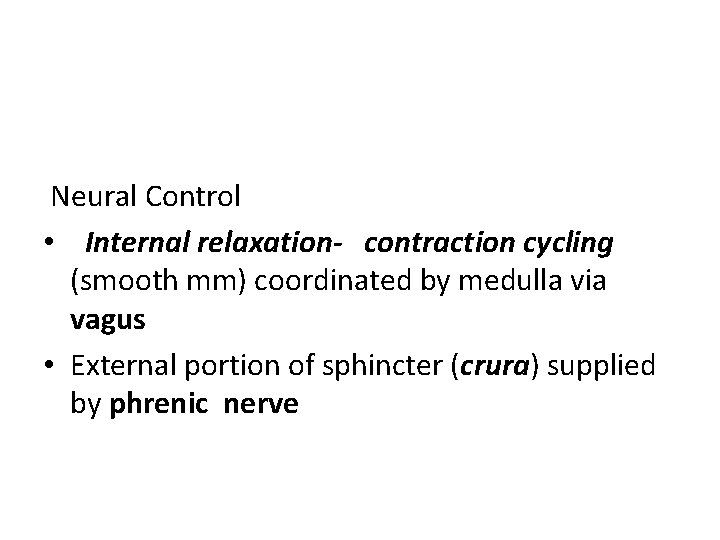 Neural Control • Internal relaxation- contraction cycling (smooth mm) coordinated by medulla via vagus