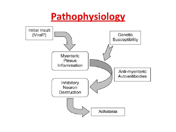 Pathophysiology 