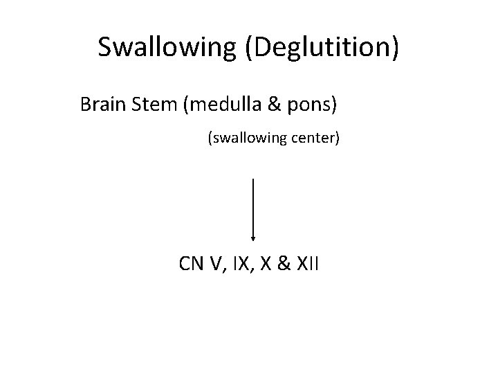 Swallowing (Deglutition) Brain Stem (medulla & pons) (swallowing center) CN V, IX, X &