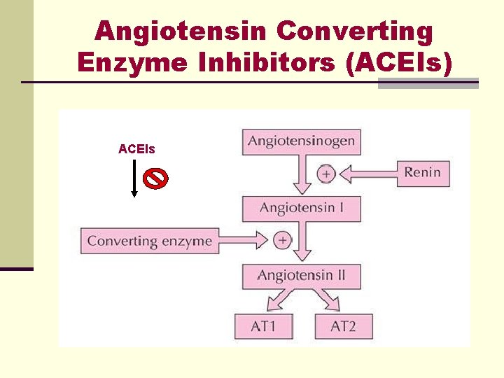 Angiotensin Converting Enzyme Inhibitors (ACEIs) ACEIs Angiotensin Converting Enzyme Inhibitors (ACEIs) ACEIs