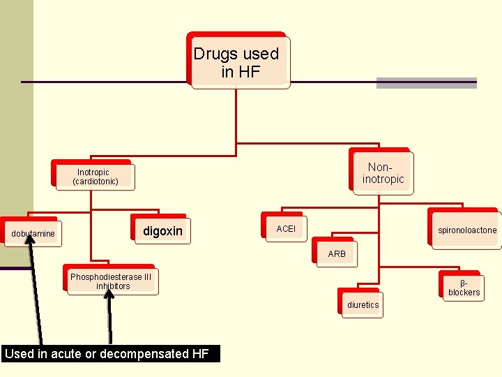 Drugs used in HF Noninotropic Inotropic (cardiotonic) dobutamine digoxin ACEI spironoloactone ARB Phosphodiesterase III Drugs used in HF Noninotropic Inotropic (cardiotonic) dobutamine digoxin ACEI spironoloactone ARB Phosphodiesterase III