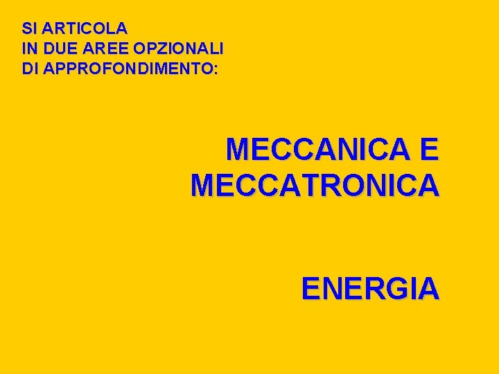 SI ARTICOLA IN DUE AREE OPZIONALI DI APPROFONDIMENTO: MECCANICA E MECCATRONICA ENERGIA 