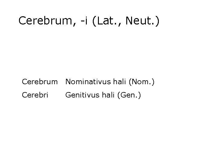 Cerebrum, -i (Lat. , Neut. ) Cerebrum Nominativus hali (Nom. ) Cerebri Genitivus hali