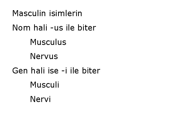 Masculin isimlerin Nom hali -us ile biter Musculus Nervus Gen hali ise -i ile