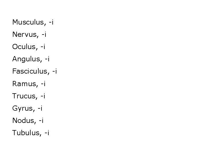 Musculus, -i Nervus, -i Oculus, -i Angulus, -i Fasciculus, -i Ramus, -i Trucus, -i