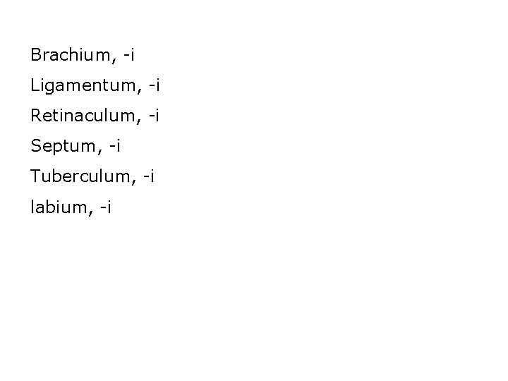 Brachium, -i Ligamentum, -i Retinaculum, -i Septum, -i Tuberculum, -i labium, -i 