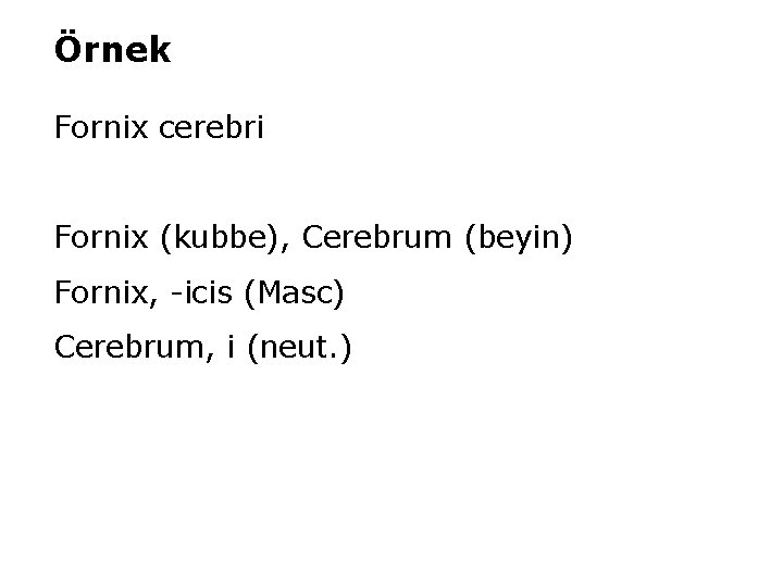 Örnek Fornix cerebri Fornix (kubbe), Cerebrum (beyin) Fornix, -icis (Masc) Cerebrum, i (neut. )