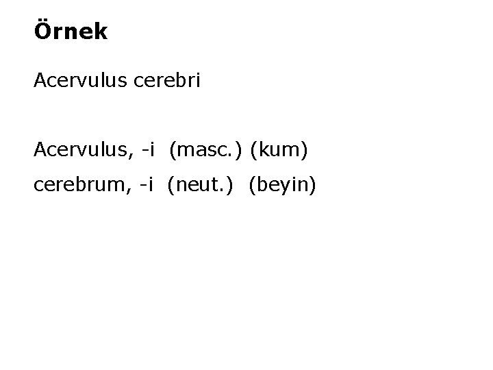 Örnek Acervulus cerebri Acervulus, -i (masc. ) (kum) cerebrum, -i (neut. ) (beyin) 