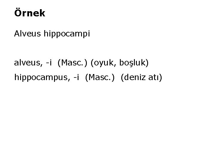 Örnek Alveus hippocampi alveus, -i (Masc. ) (oyuk, boşluk) hippocampus, -i (Masc. ) (deniz
