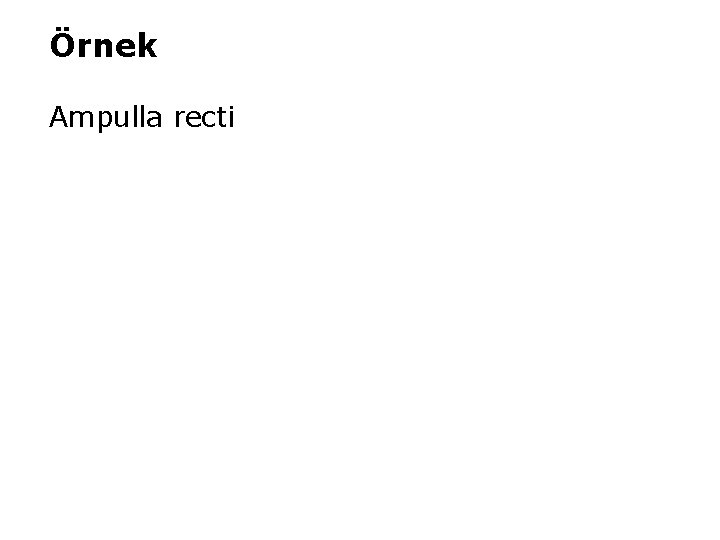 Örnek Ampulla recti 