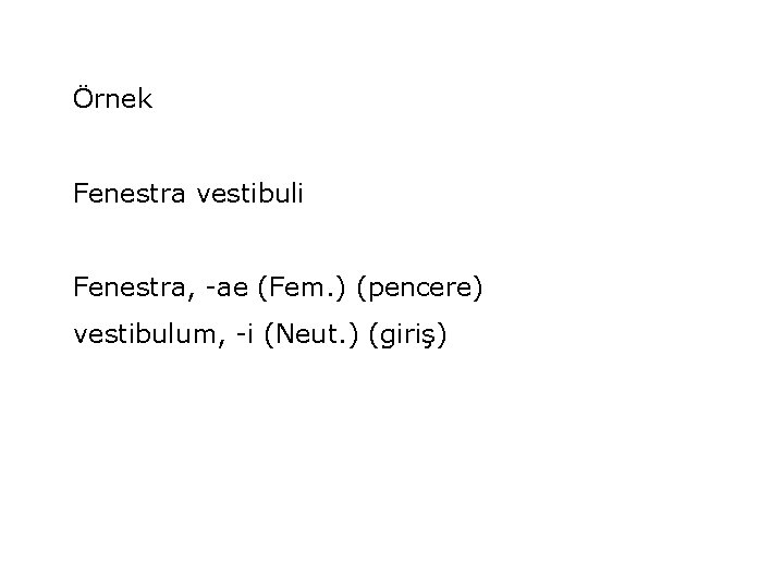 Örnek Fenestra vestibuli Fenestra, -ae (Fem. ) (pencere) vestibulum, -i (Neut. ) (giriş) 