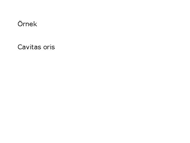 Örnek Cavitas oris 