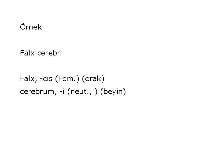 Örnek Falx cerebri Falx, -cis (Fem. ) (orak) cerebrum, -i (neut. , ) (beyin)