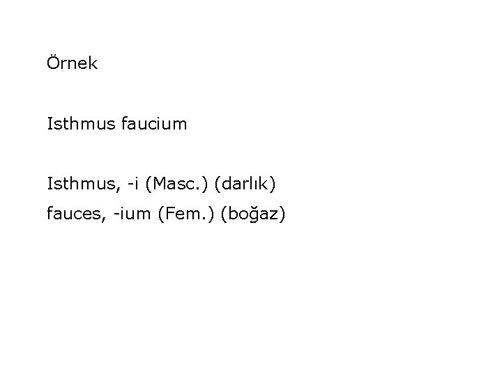 Örnek Isthmus faucium Isthmus, -i (Masc. ) (darlık) fauces, -ium (Fem. ) (boğaz) 