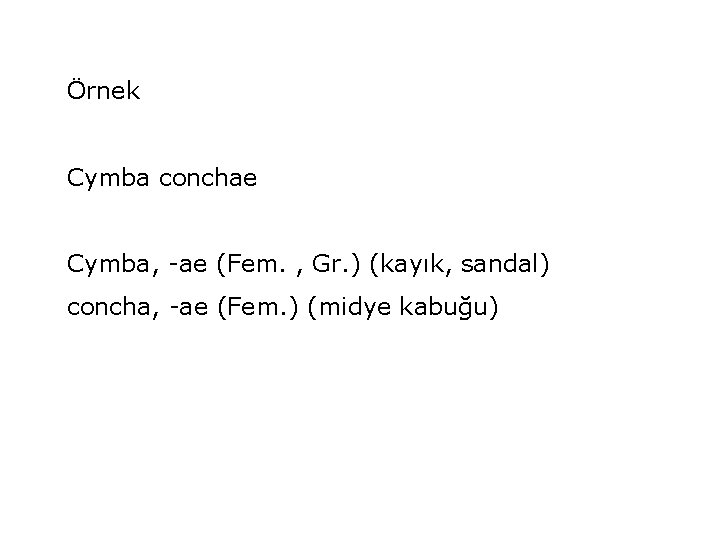 Örnek Cymba conchae Cymba, -ae (Fem. , Gr. ) (kayık, sandal) concha, -ae (Fem.