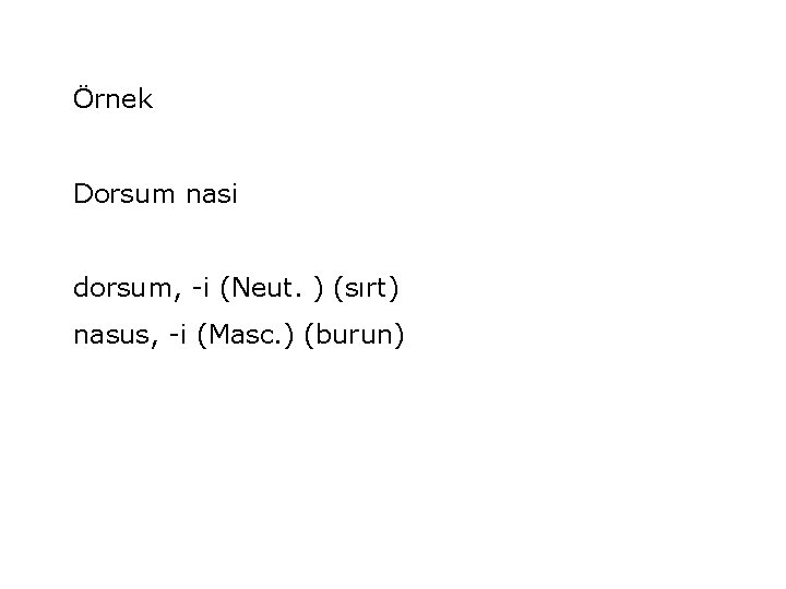 Örnek Dorsum nasi dorsum, -i (Neut. ) (sırt) nasus, -i (Masc. ) (burun) 