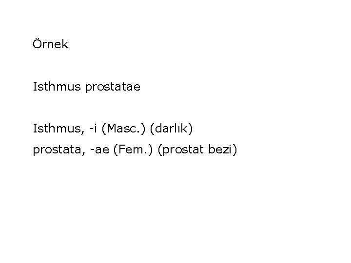 Örnek Isthmus prostatae Isthmus, -i (Masc. ) (darlık) prostata, -ae (Fem. ) (prostat bezi)