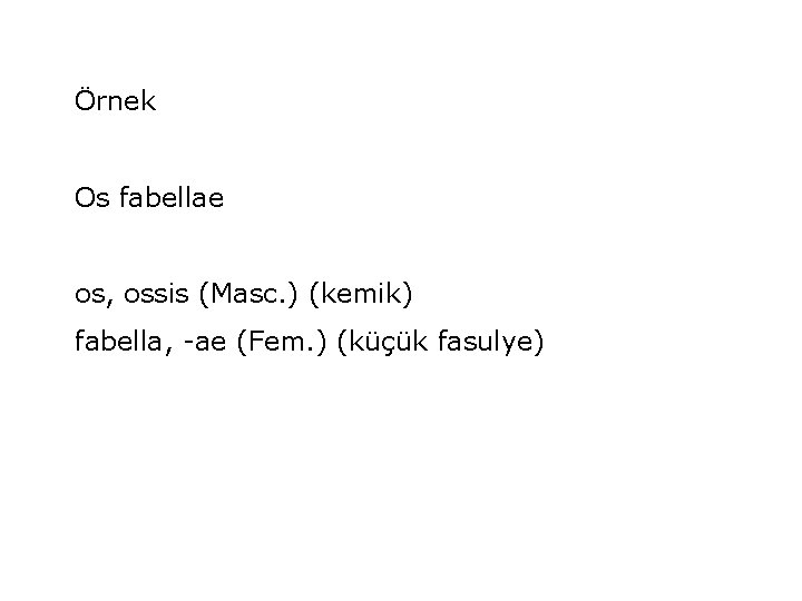Örnek Os fabellae os, ossis (Masc. ) (kemik) fabella, -ae (Fem. ) (küçük fasulye)
