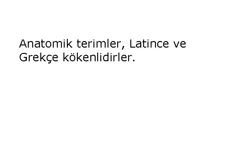 Anatomik terimler, Latince ve Grekçe kökenlidirler. 