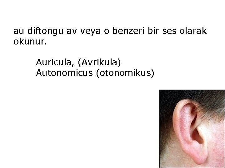 au diftongu av veya o benzeri bir ses olarak okunur. Auricula, (Avrikula) Autonomicus (otonomikus)