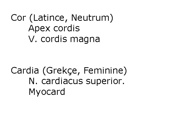 Cor (Latince, Neutrum) Apex cordis V. cordis magna Cardia (Grekçe, Feminine) N. cardiacus superior.