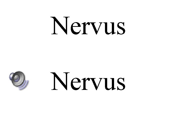 Nervus 