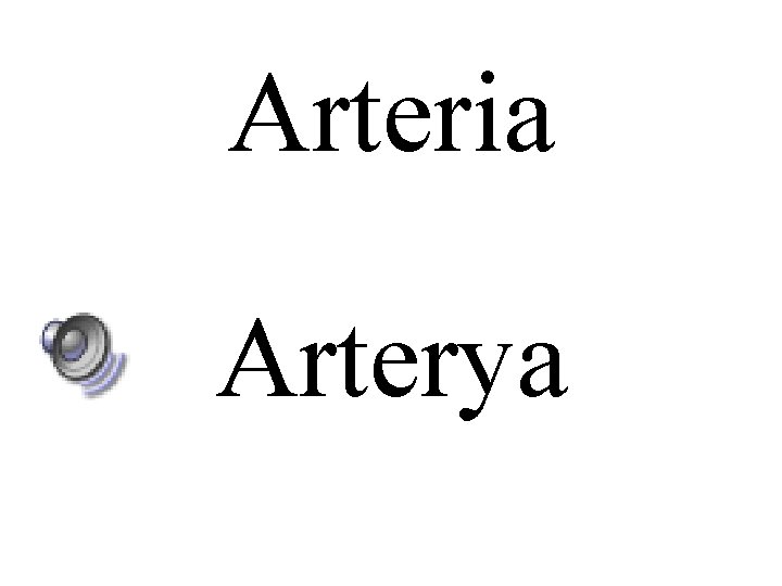 Arteria Arterya 