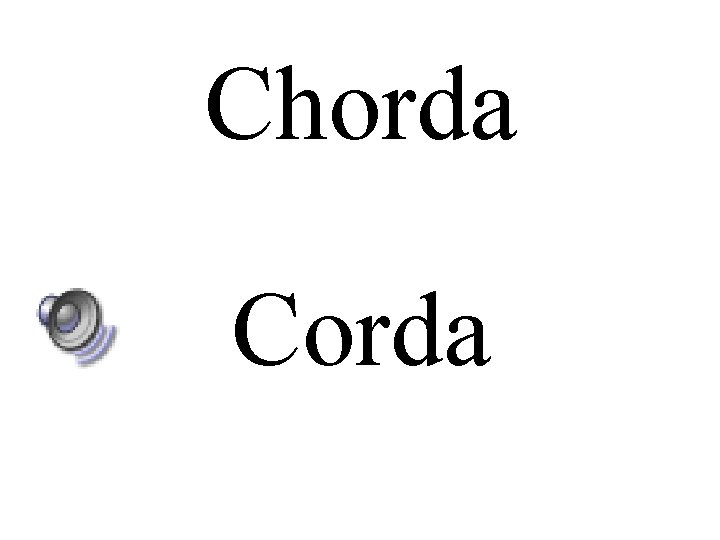 Chorda Corda Chorda Corda