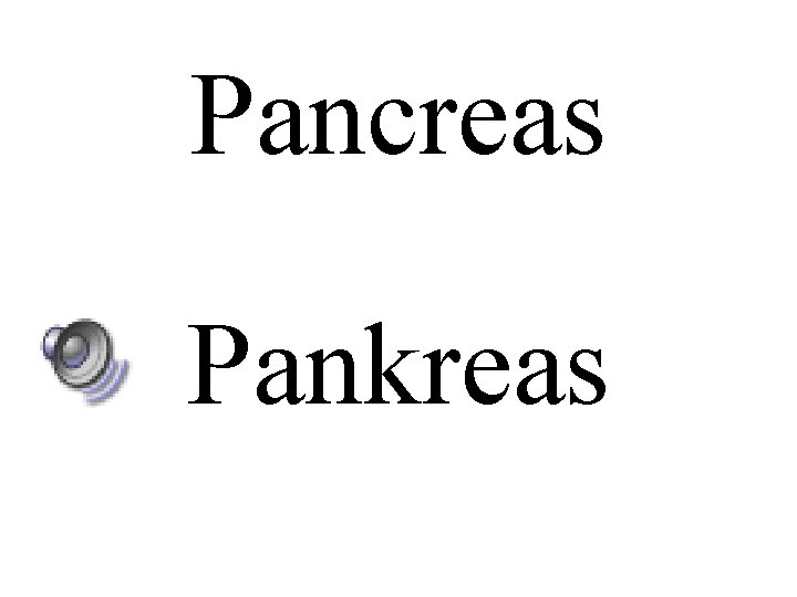 Pancreas Pankreas 