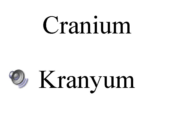 Cranium Kranyum 
