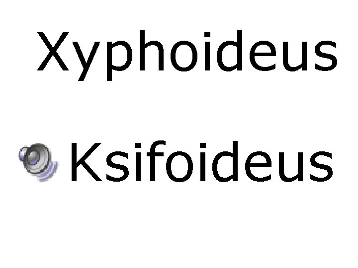 Xyphoideus Ksifoideus 