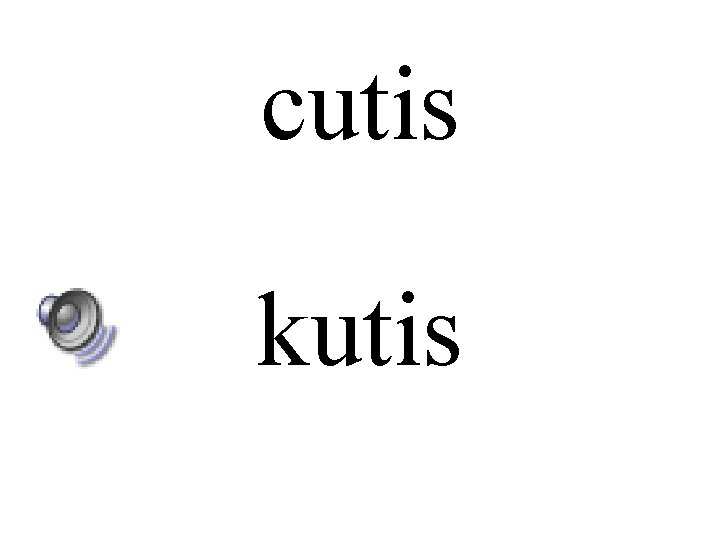 cutis kutis 