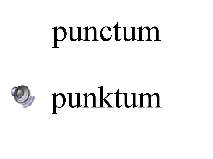 punctum punktum 